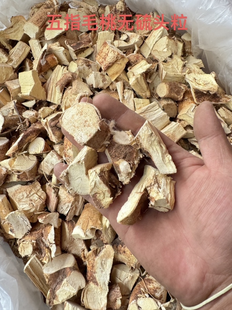 广西中药材/五指毛桃/统货/头粒/头片/圆片碎/一公分短粒