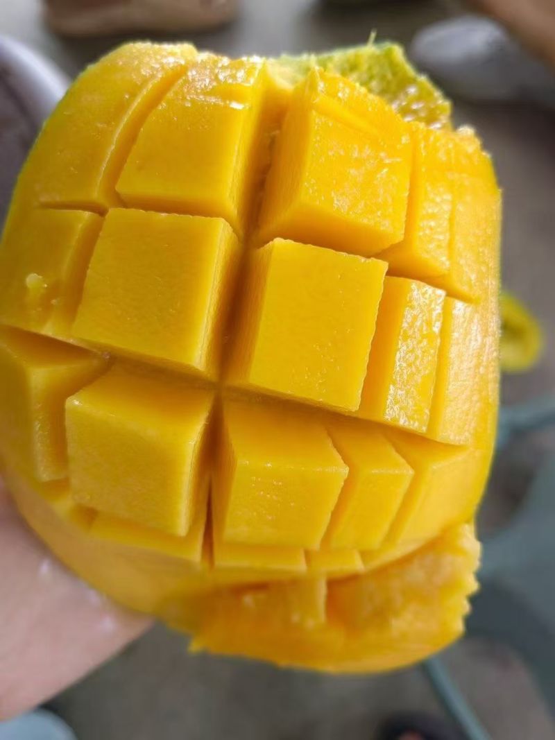 自家种的芒果，好品质肉眼可见[强][强]