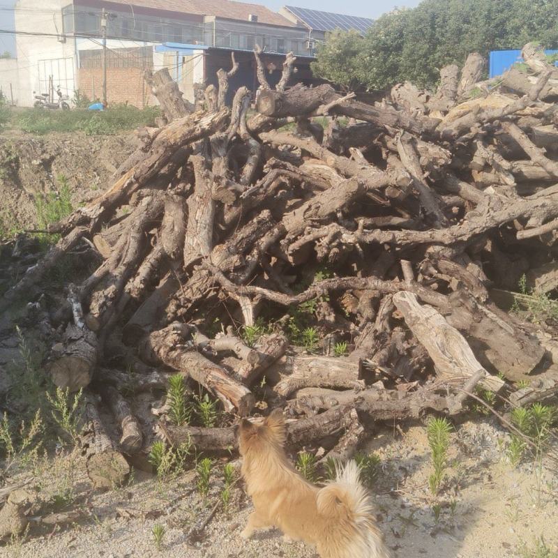 苹果木桃木梨木