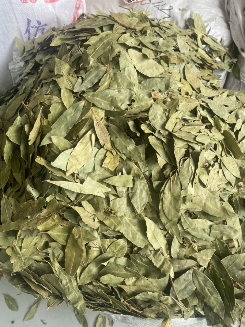 2斤起批新货特绿香叶选货片形好