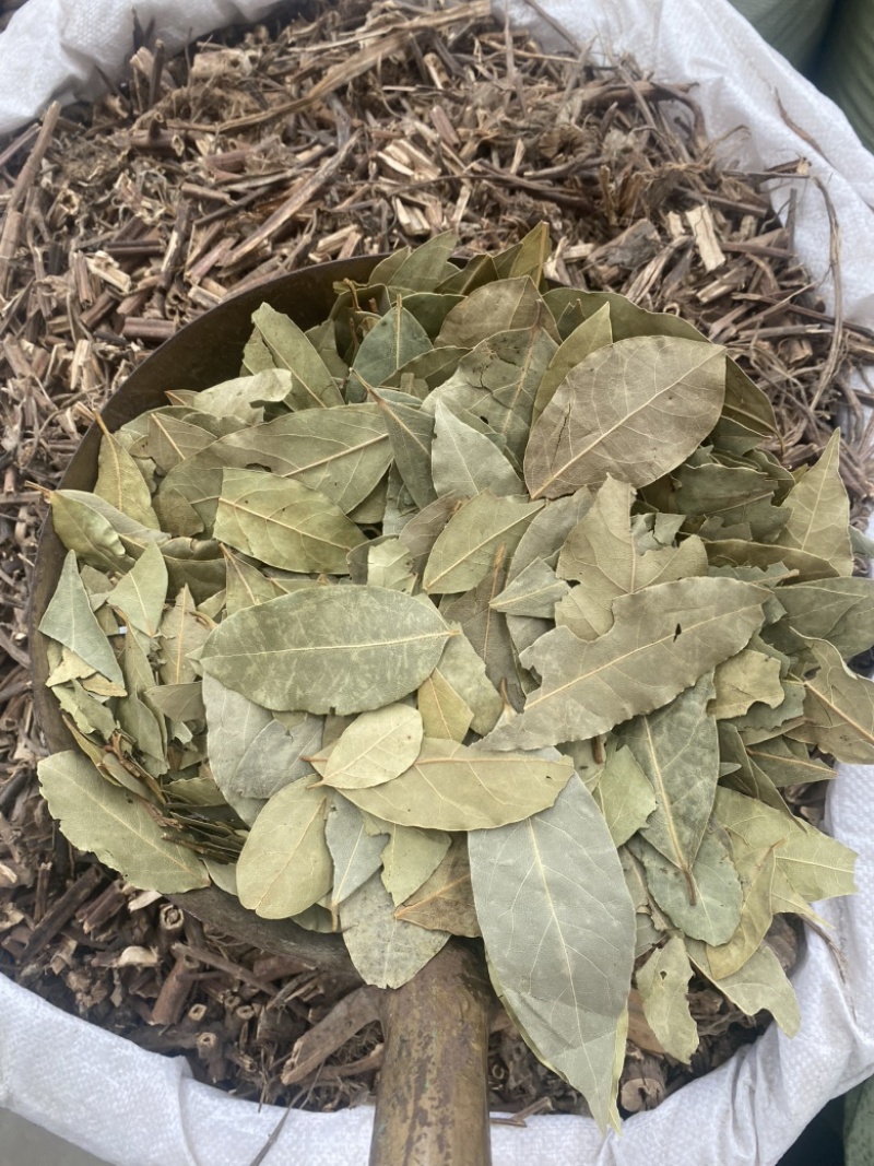 2斤起批新货特绿香叶选货片形好
