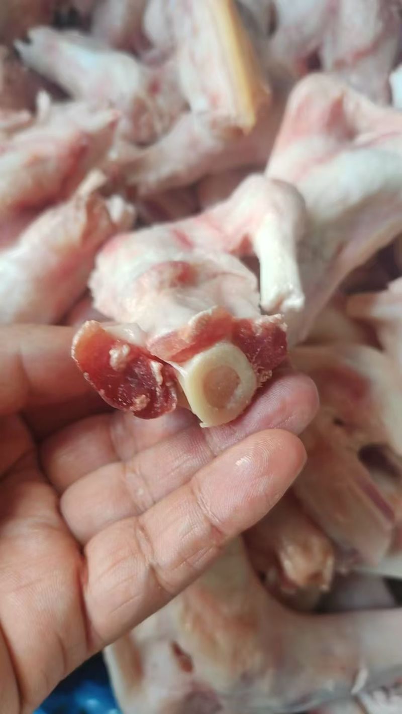 羊拐筋