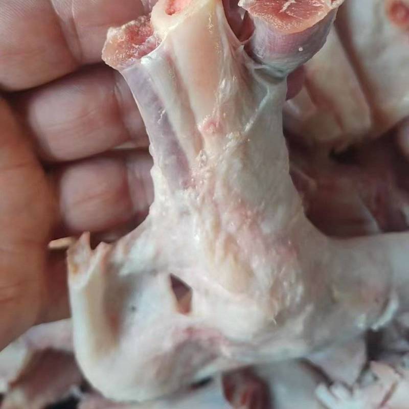 羊拐筋