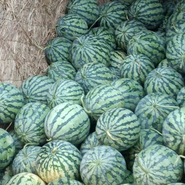大量有货**