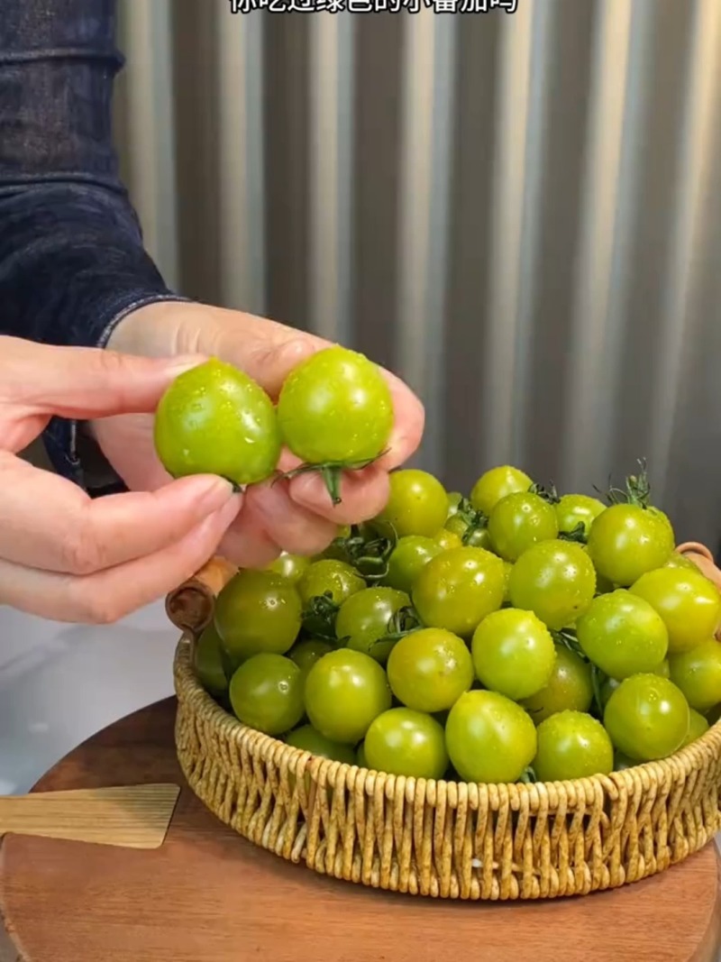接订单种植青口蜜小番茄或者其他番茄订单欢迎洽谈云南