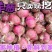 紫皮紫红洋葱新鲜现挖蔬菜批发批发价农家自种