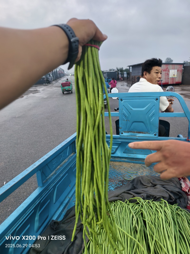 长豆角