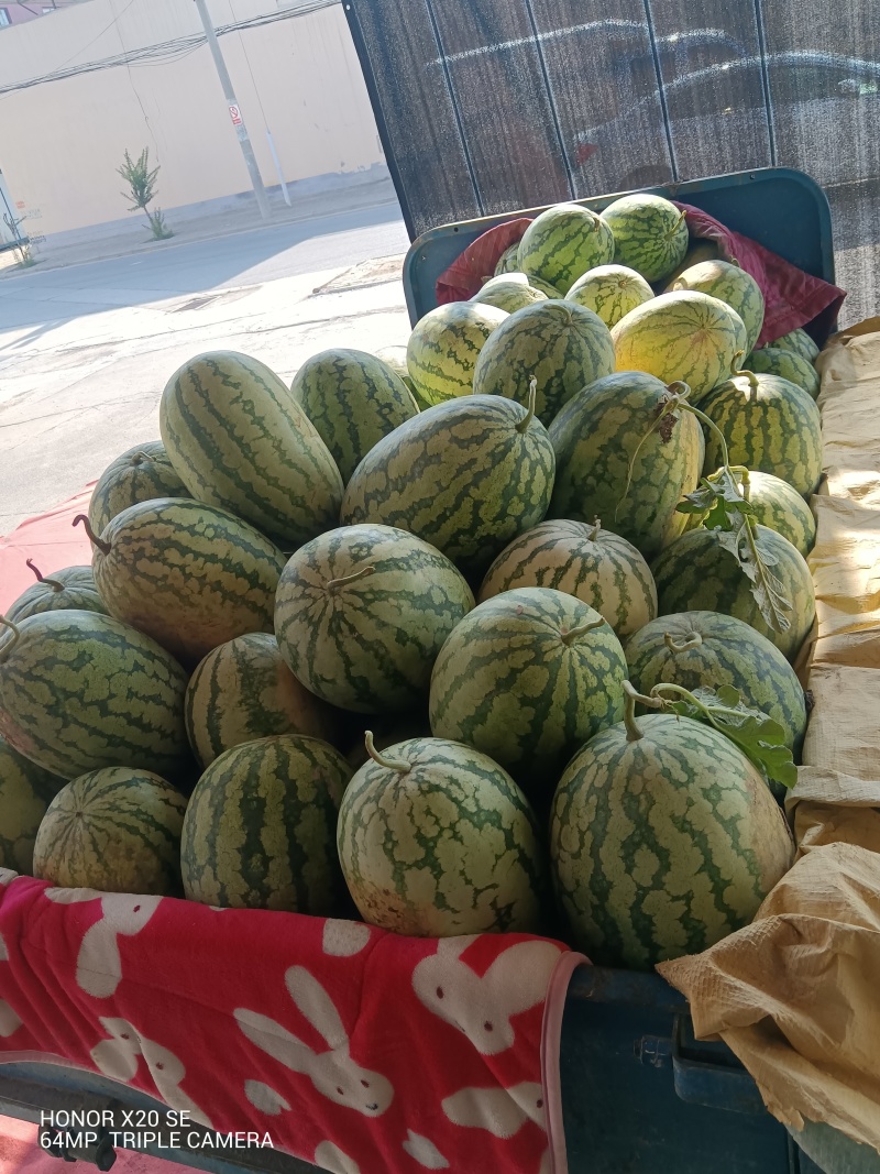 金城五号地址运城市