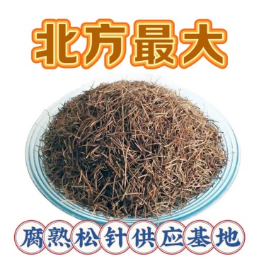 腐熟松针/无土纯松针/松毛/落叶松针/松针叶