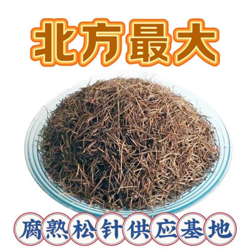 腐熟松针/无土纯松针/松毛/落叶松针/松针叶