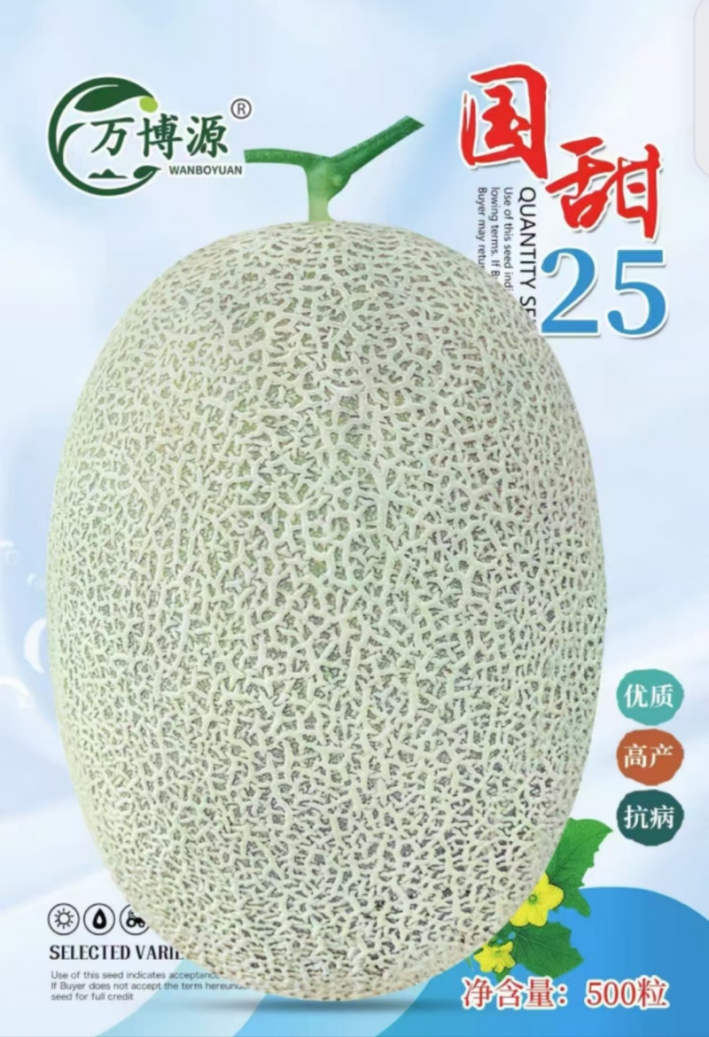 西瓜苗。山东省青州人付增久欢迎你