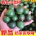 新会小青柑茶枝柑可做陈皮柑奶茶店普茶原料