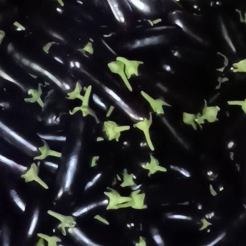 山东蔬菜产区沂南县绿萼烧烤茄子，精品，电商供应…