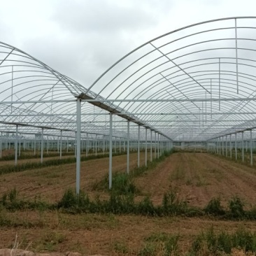 带棚场地，适合种植各类农产品，中药，水果，蔬菜