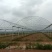 带棚场地，适合种植各类农产品，中药，水果，蔬菜