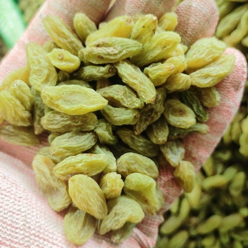 无核白葡萄干新疆吐鲁番免洗大颗干果天然无籽新货包邮团购批