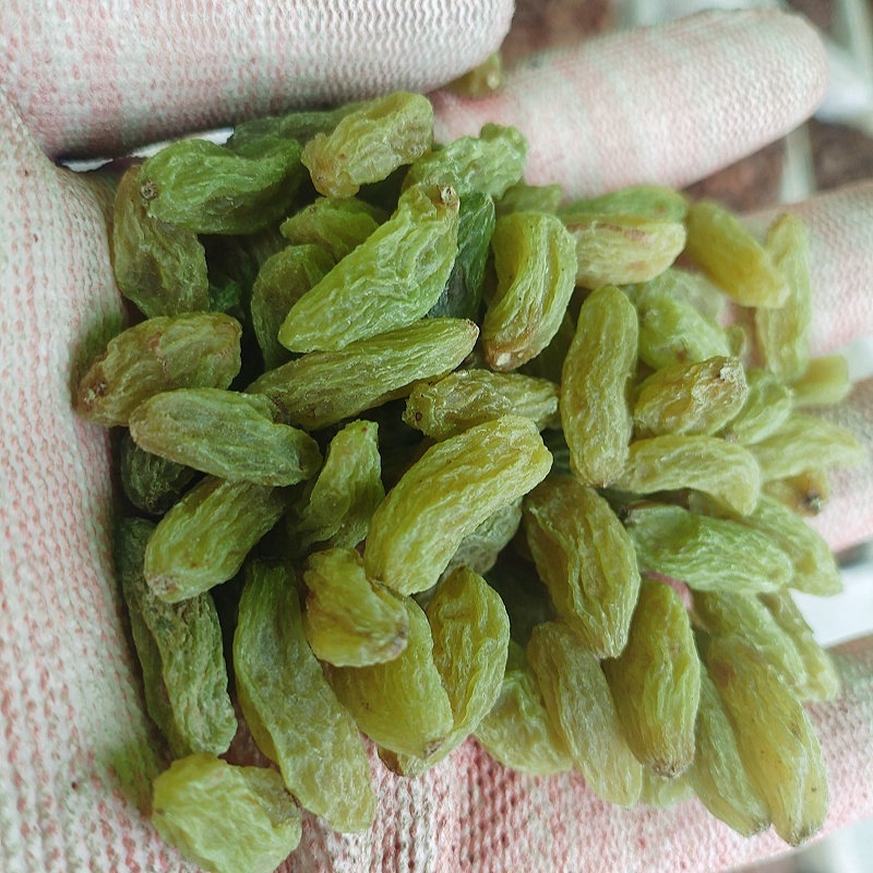 无核白葡萄干新疆吐鲁番免洗大颗干果天然无籽新货包邮团购批