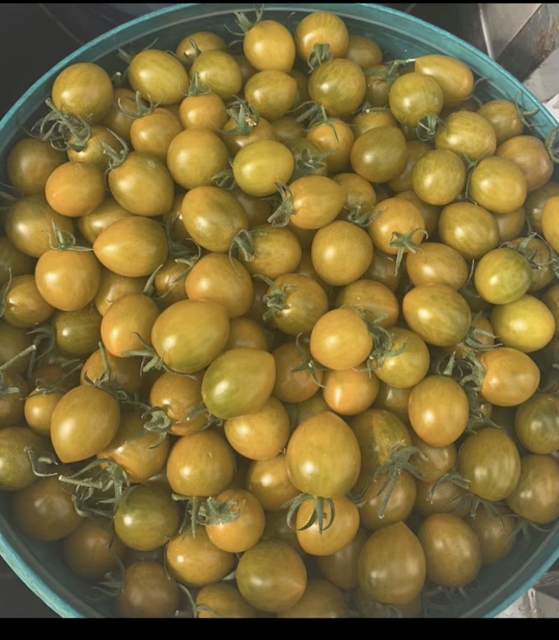糖伯虎小番茄果肉细腻，脆甜爆汁口感好甜度高