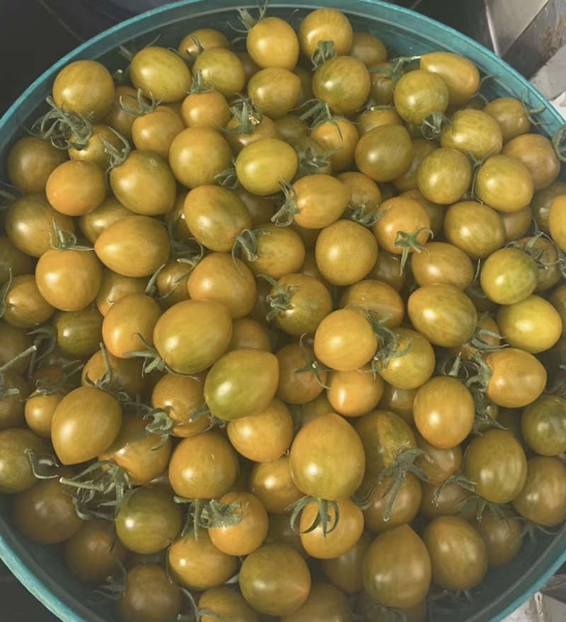糖伯虎小番茄果肉细腻，脆甜爆汁口感好甜度高