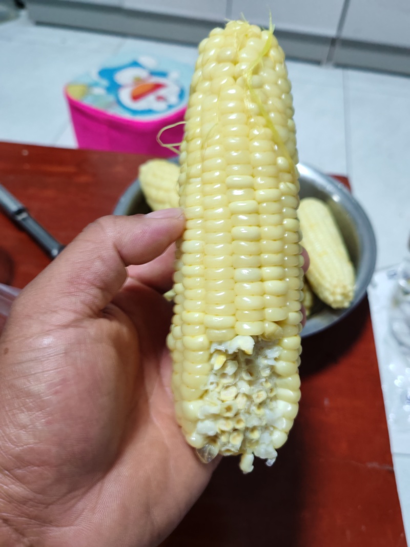 336粘玉米，好吃不贵，经济实惠。可以发往全国各地