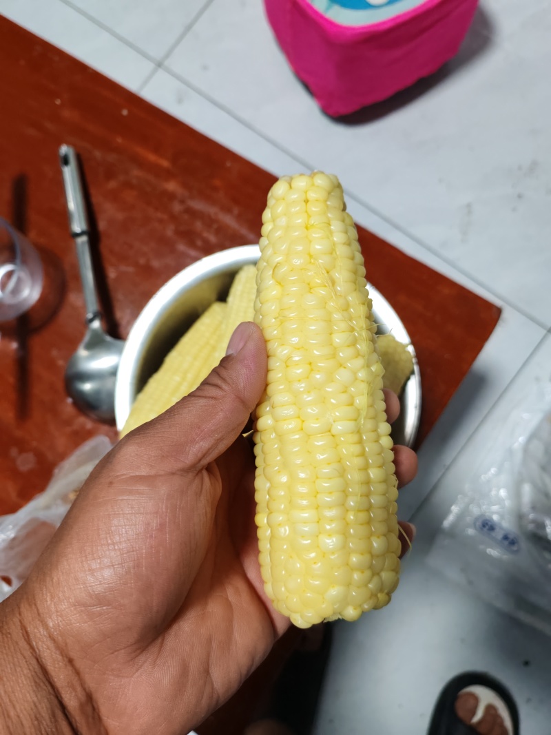 336粘玉米，好吃不贵，经济实惠。可以发往全国各地