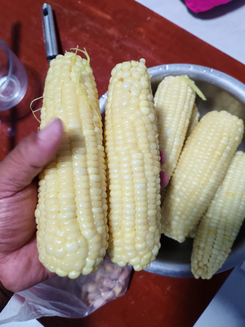 336粘玉米，好吃不贵，经济实惠。可以发往全国各地