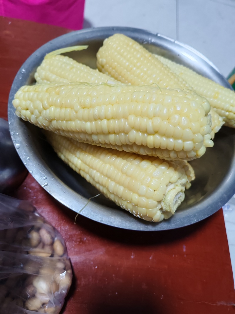 336粘玉米，好吃不贵，经济实惠。可以发往全国各地