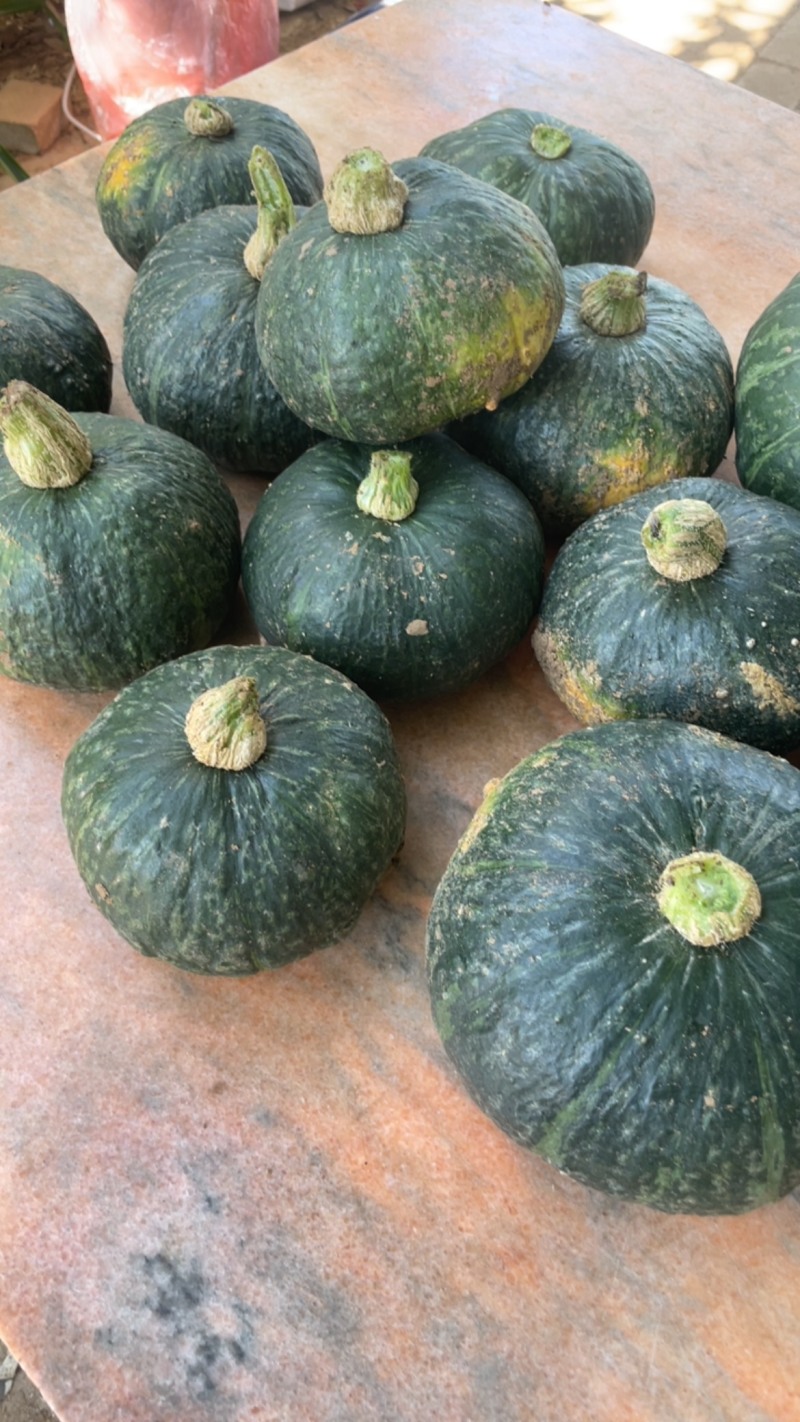 板栗南瓜
