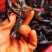 洪湖小龙虾肉质嫩口感好质量保证欢迎咨询