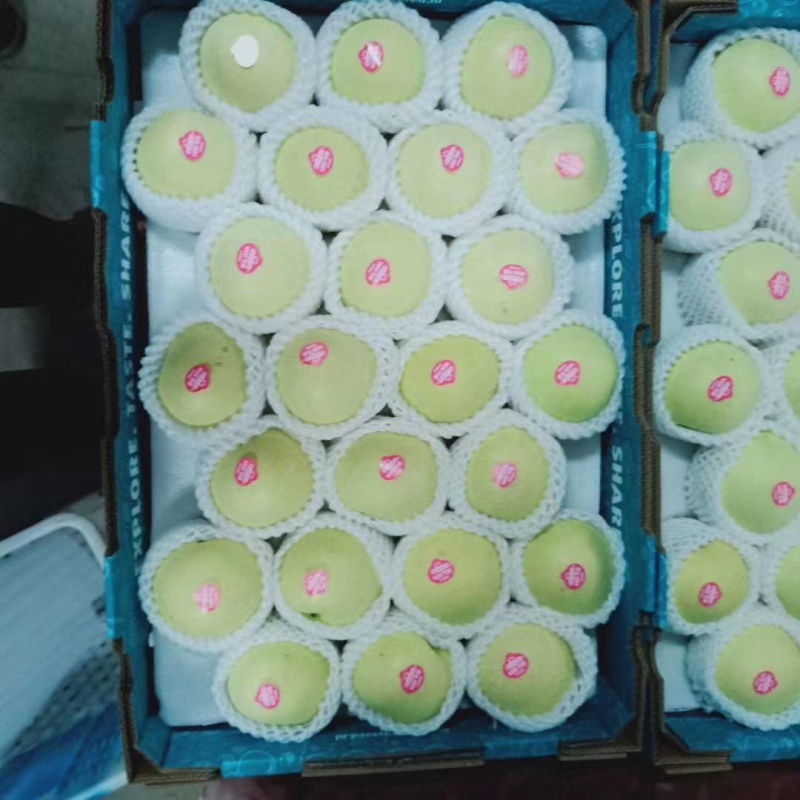 山东丰水梨，秋月梨，黄金梨，皇冠梨，长把梨，鸭梨