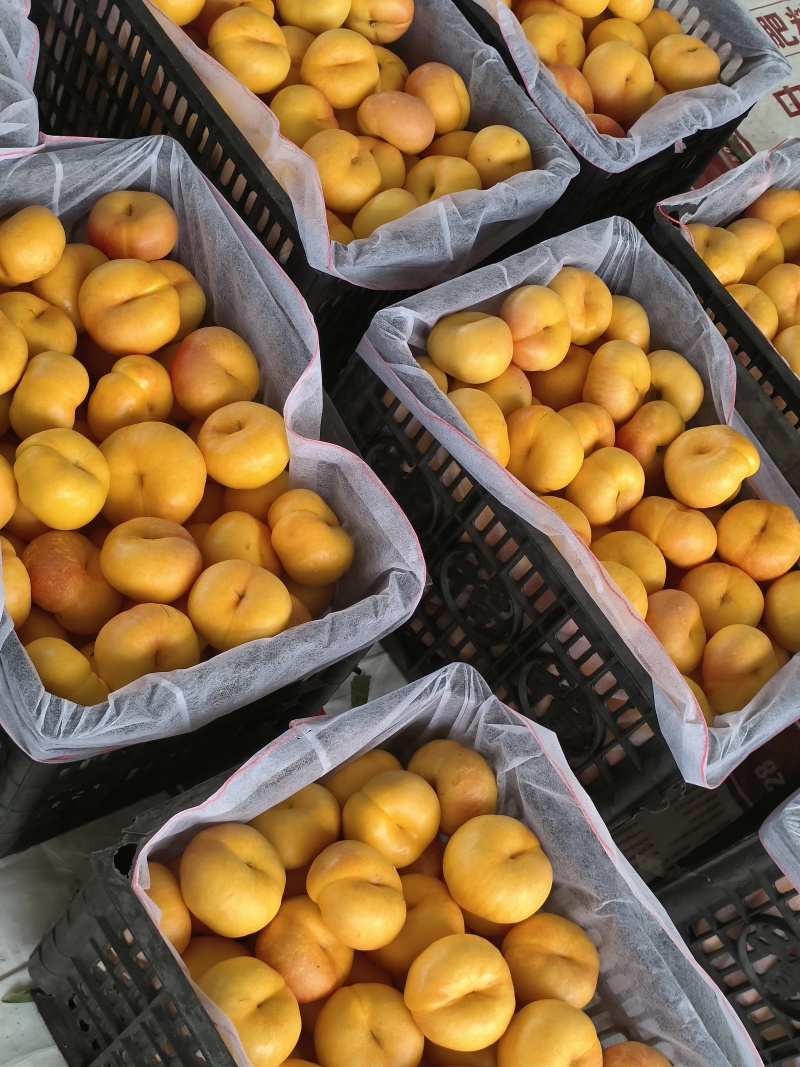 一件代发***********大量有货