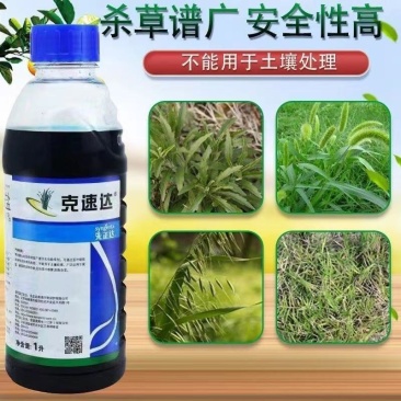 先正达克速达41%草甘膦异丙胺盐空地灭生性除草剂农药