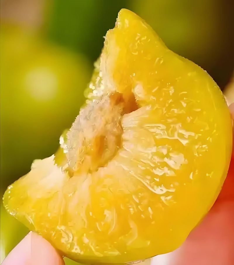 这个夏天你吃水果了么