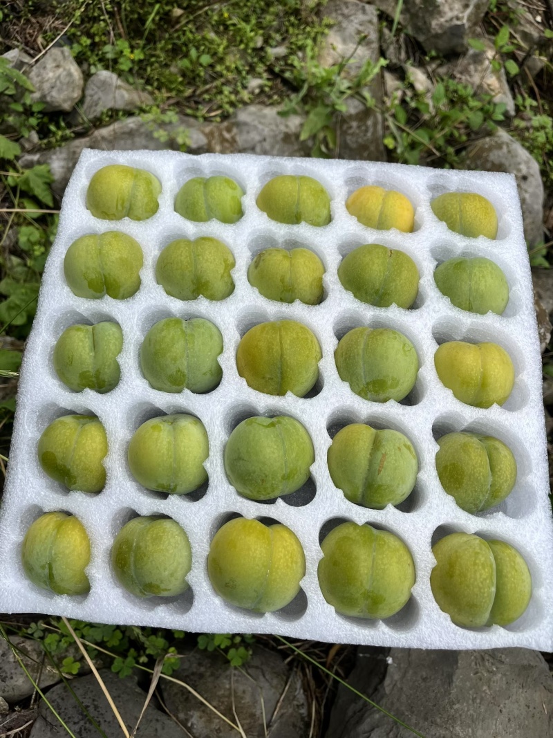 这个夏天你吃水果了么