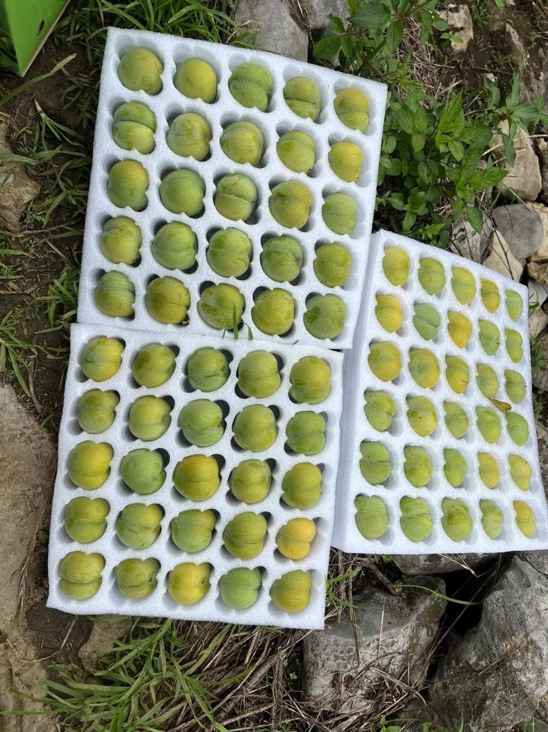 这个夏天你吃水果了么