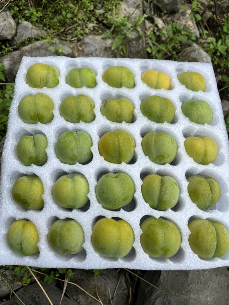 这个夏天你吃水果了么