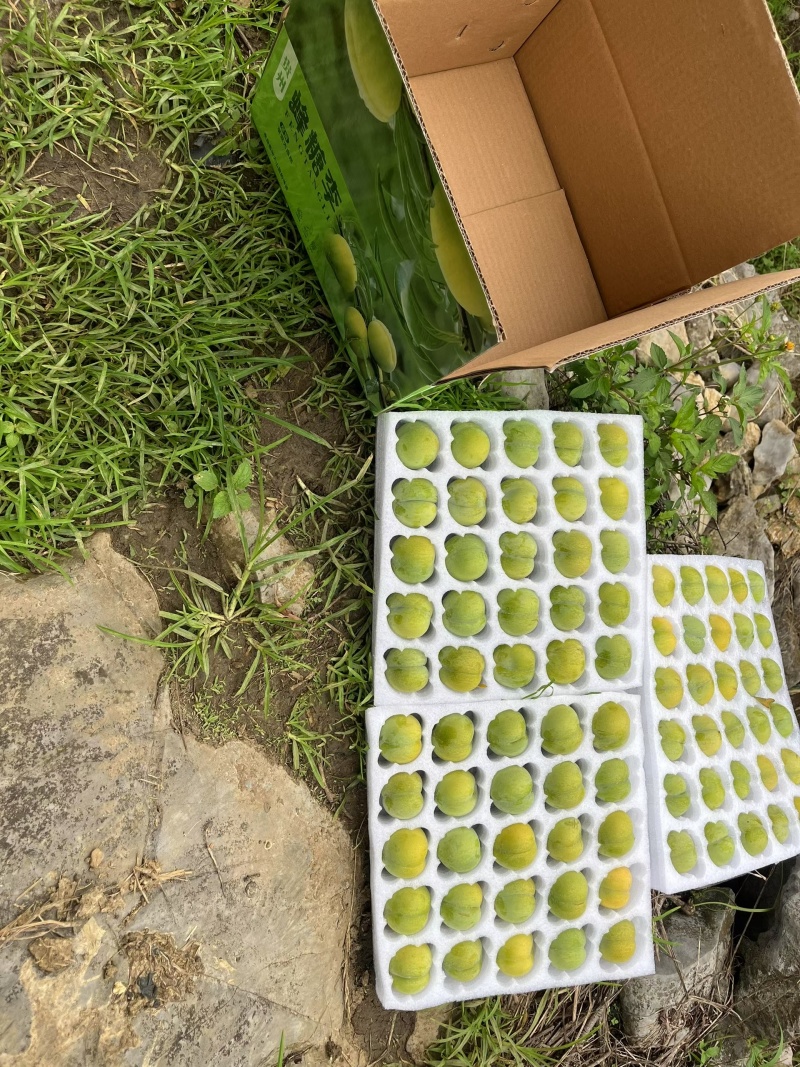 这个夏天你吃水果了么