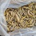 金蝉蚂蚱大黄蛹蚕蛹豆虫都有现货全国接单！冷