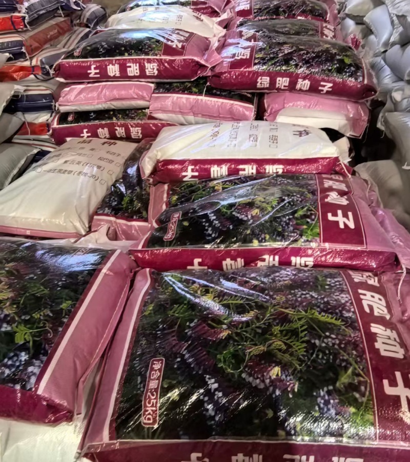 毛苕子厂家货源批发价格全国发货价格便宜欢迎下单咨询