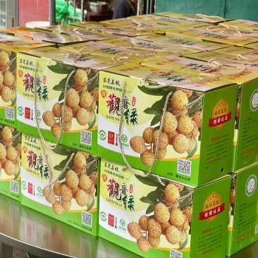 观音绿原产地樟木头金河直发
