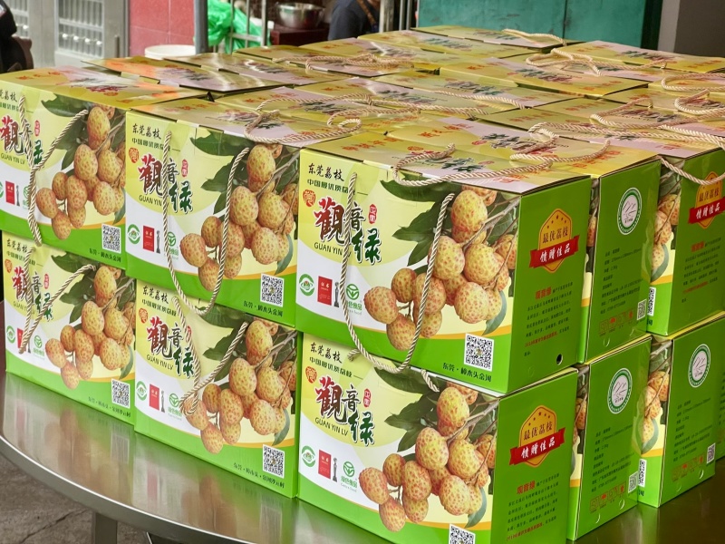 观音绿原产地樟木头金河直发
