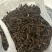 青藏高原海拔高度4500的野生虫草