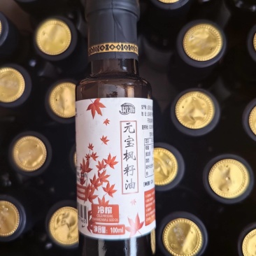 元宝枫种子，元宝枫籽油