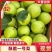 酥脆一号/翠玉/翠冠/品种齐全/对接各大平台市场外贸