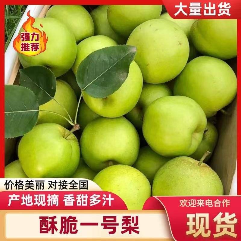 酥脆一号/翠玉/翠冠/品种齐全/对接各大平台市场外贸