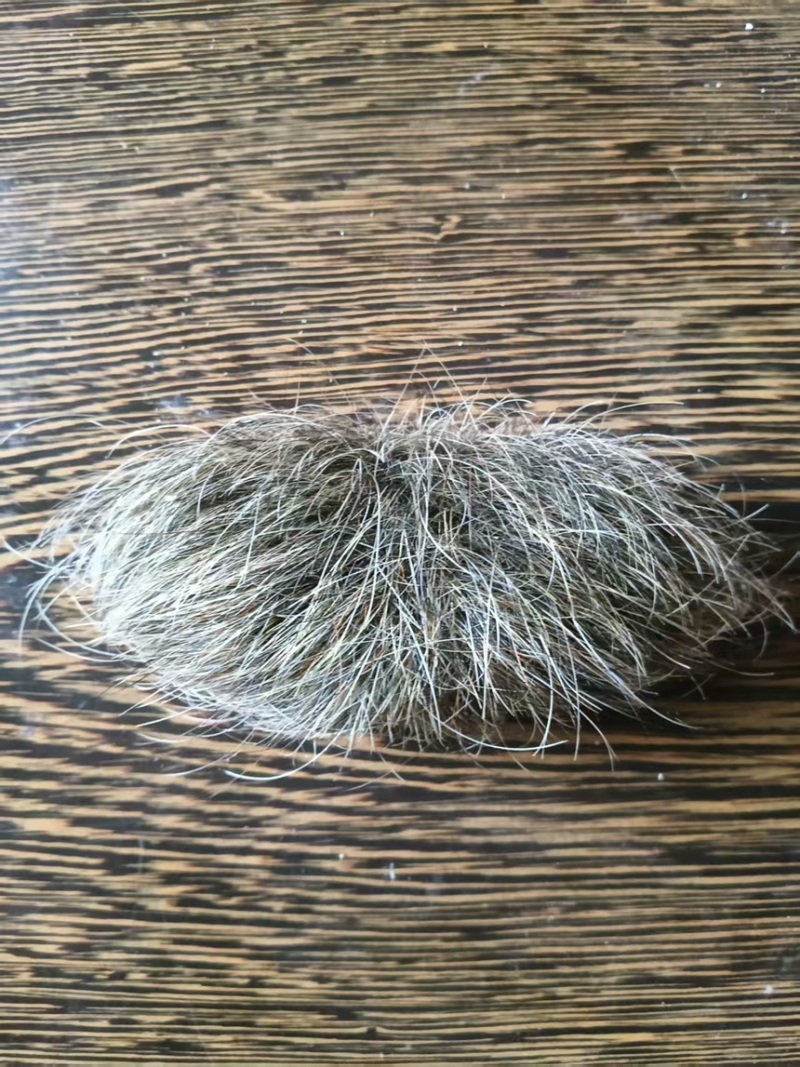 猪宝一手货源质量保证可视频看货欢迎咨询