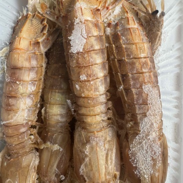 皮皮虾