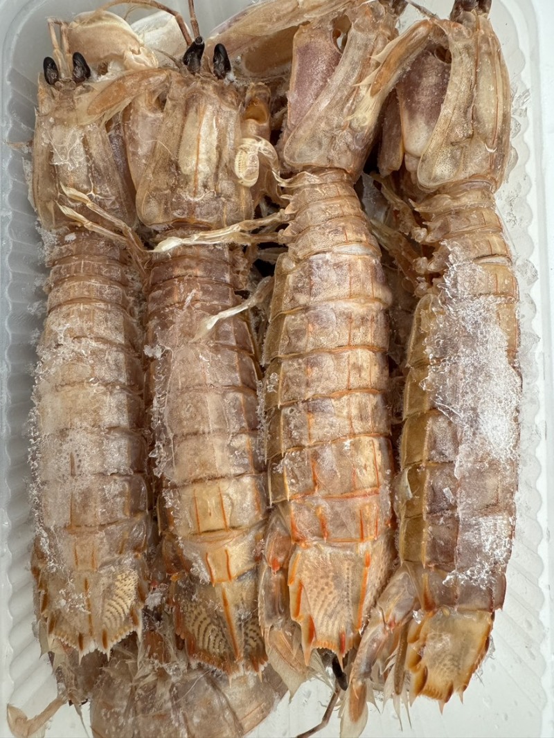 皮皮虾