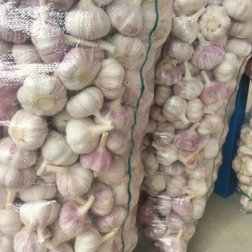 邳州精品大蒜