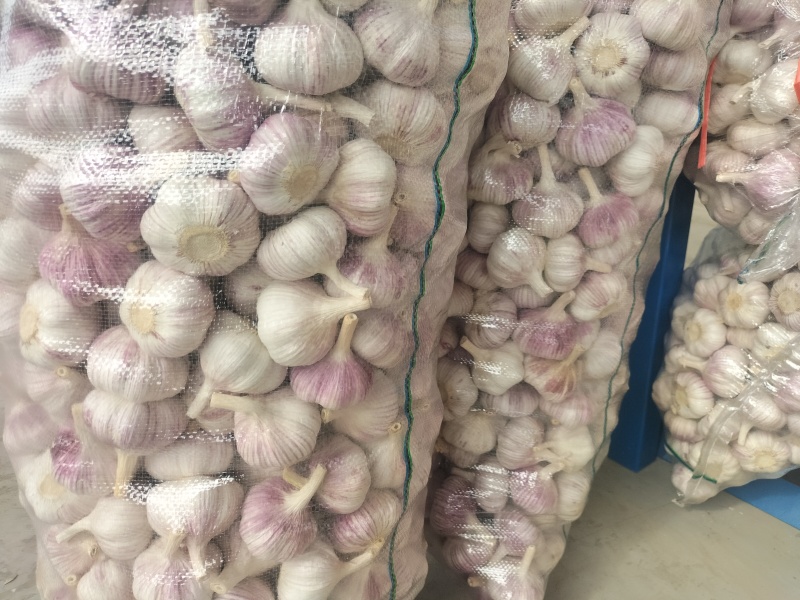 邳州精品大蒜